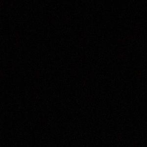 Meet your Posher, Anica